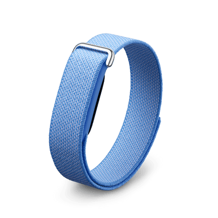 Google Fitbit Air
