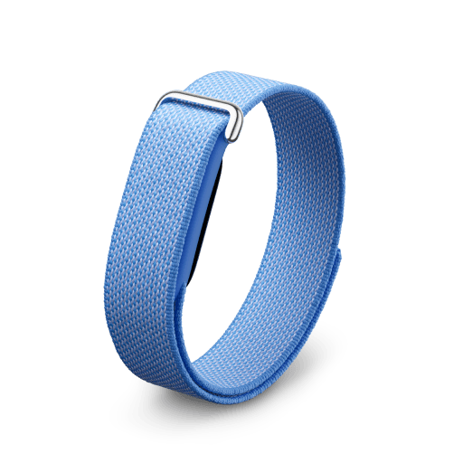 Google Fitbit Air