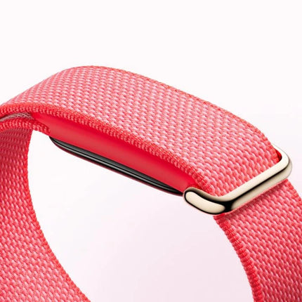 Google Fitbit Air