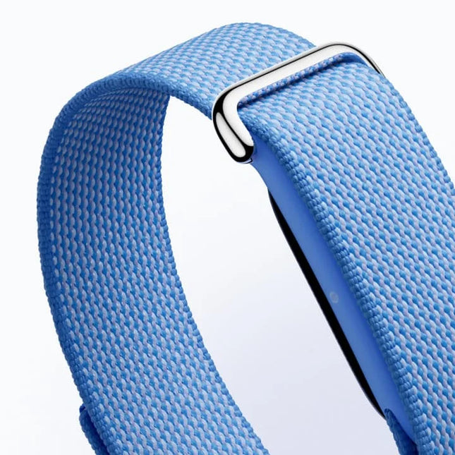 Google Fitbit Air