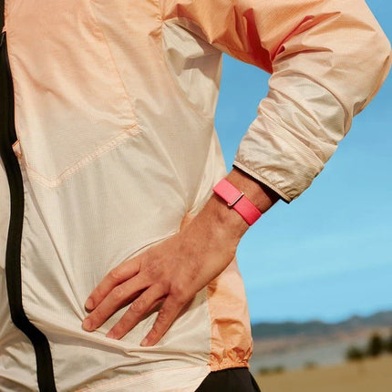 Google Fitbit Air