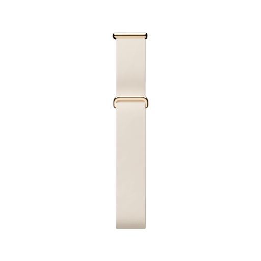 Google Fitbit Air Elevated Modern Band