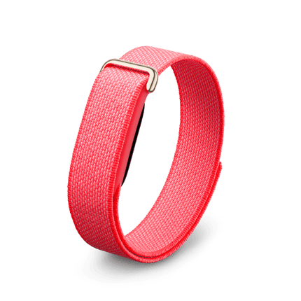 Google Fitbit Air Band