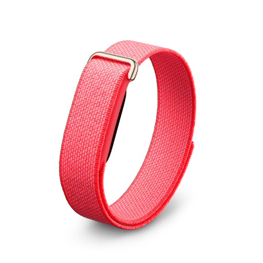 Google Fitbit Air