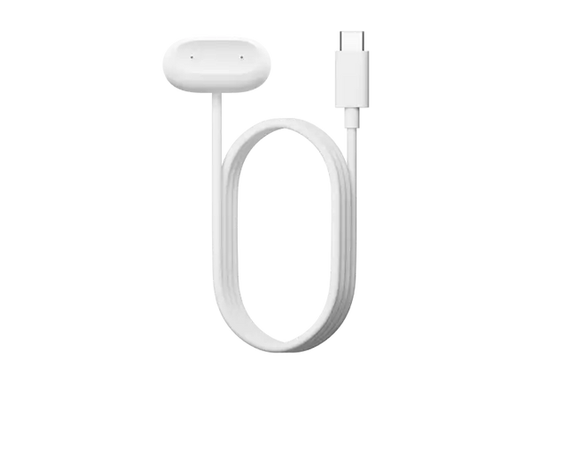 Google Fitbit Air Charging Cable