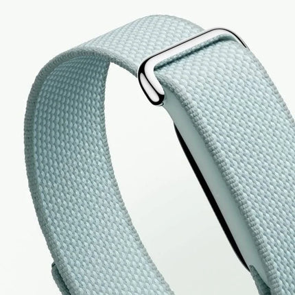 Google Fitbit Air