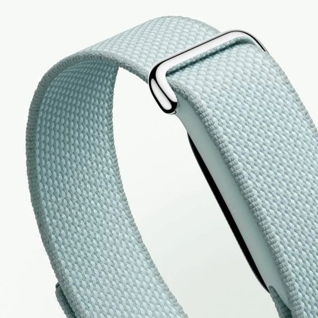 Google Fitbit Air