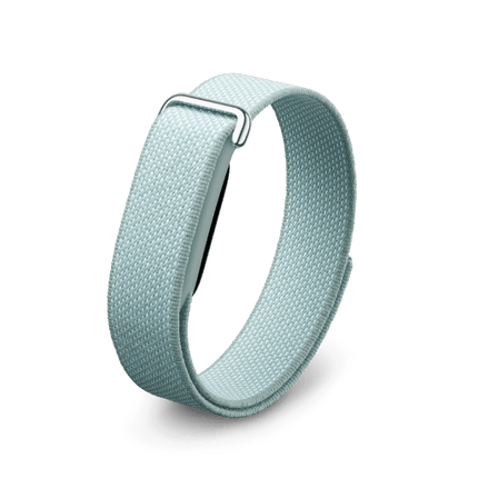 Google Fitbit Air Band