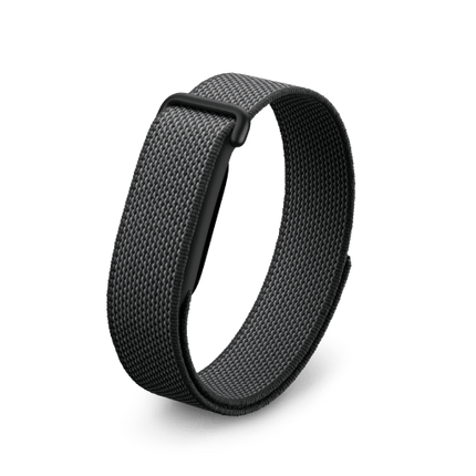 Google Fitbit Air