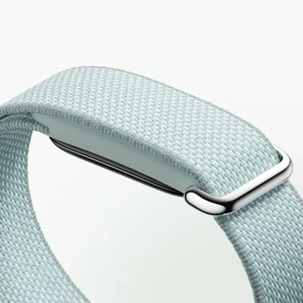 Google Fitbit Air