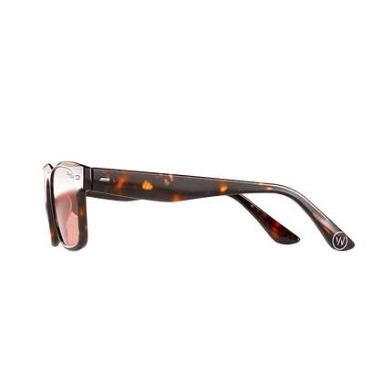 Blue Light Glasses