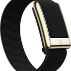 Obsidian with Gold